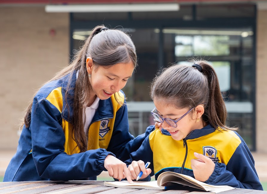 Estudiante enseñando a su compañera
